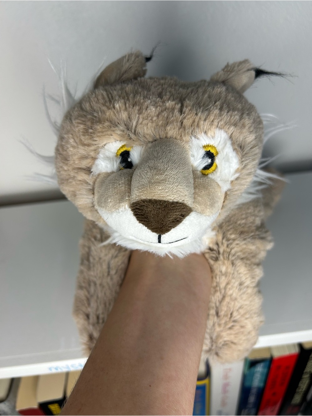 Bobcat/lynx cute and cuddly warmie